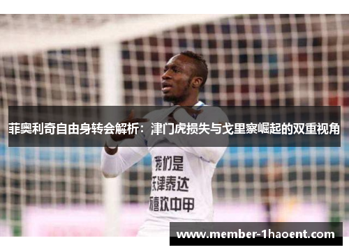 菲奥利奇自由身转会解析:津门虎损失与戈里察崛起的双重视角 菲奥利奇自由身转会解析:津门虎损失与戈里察崛起的双重视角